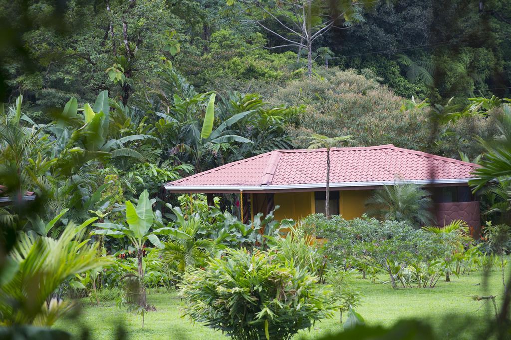 Hotel Catarata Rio Celeste Бихагуа Экстерьер фото