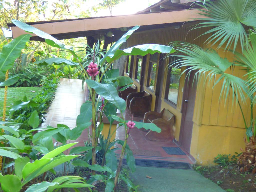 Hotel Catarata Rio Celeste Бихагуа Экстерьер фото