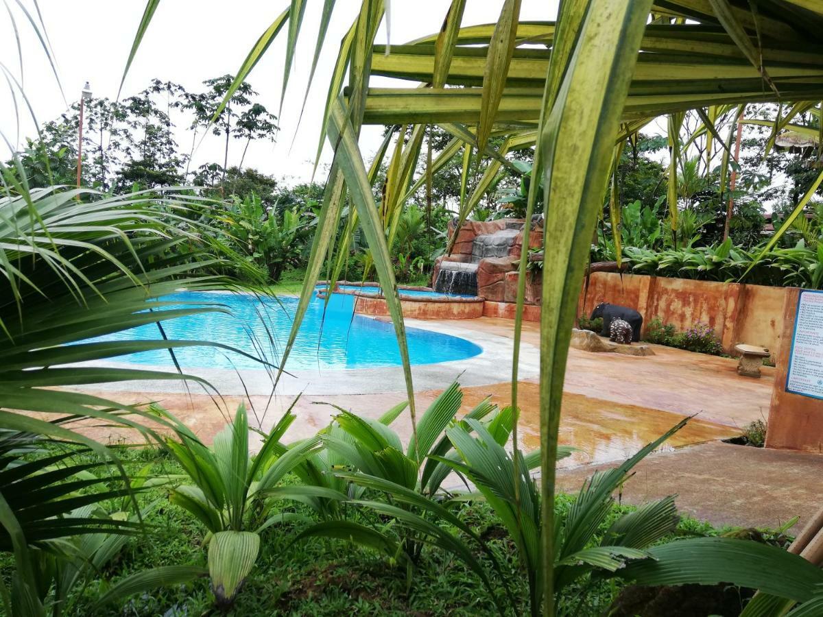 Hotel Catarata Rio Celeste Бихагуа Экстерьер фото