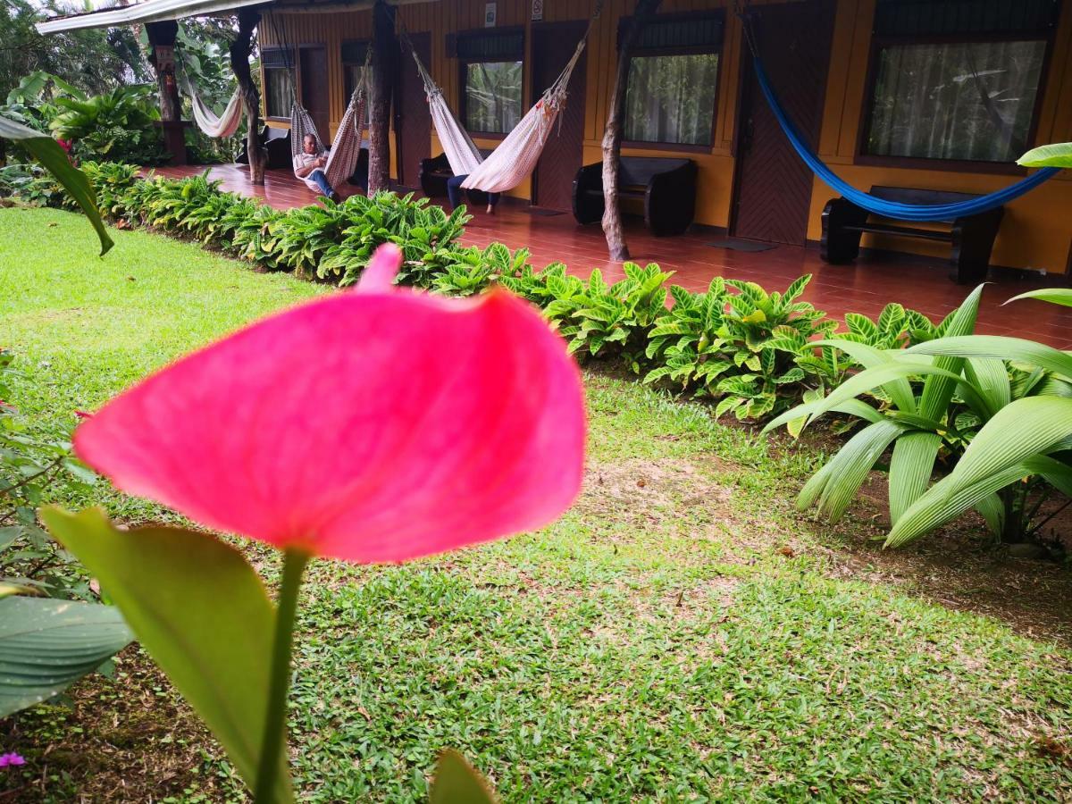 Hotel Catarata Rio Celeste Бихагуа Экстерьер фото